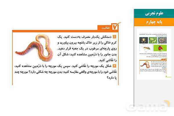 پاورپوینت درس 11 علوم چهارم: بی مهره ها- پیش نمایش