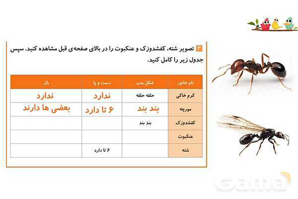 پاورپوینت درس 11 علوم چهارم: بی مهره ها- پیش نمایش