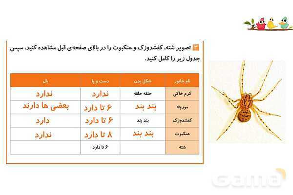پاورپوینت درس 11 علوم چهارم: بی مهره ها- پیش نمایش