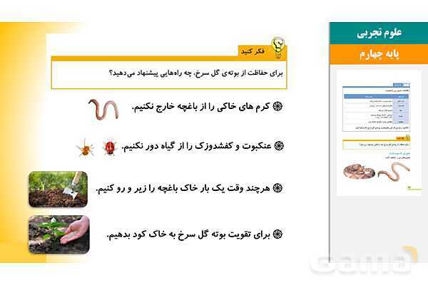 پاورپوینت درس 11 علوم چهارم: بی مهره ها- پیش نمایش