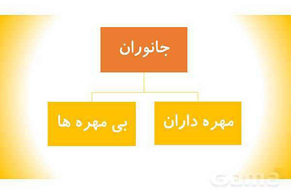 پاورپوینت درس 11 علوم چهارم: بی مهره ها- پیش نمایش