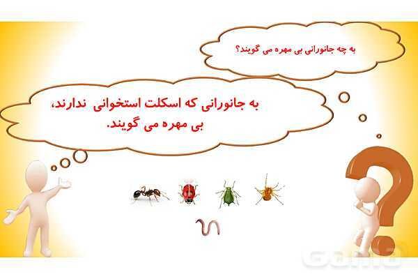 پاورپوینت درس 11 علوم چهارم: بی مهره ها- پیش نمایش