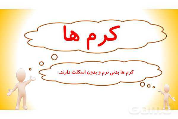 پاورپوینت درس 11 علوم چهارم: بی مهره ها- پیش نمایش