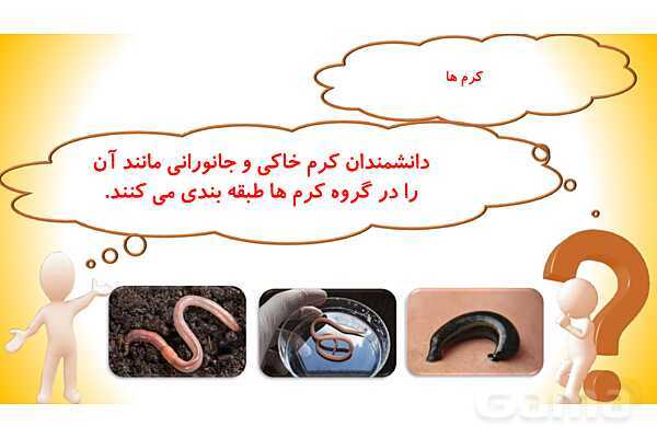 پاورپوینت درس 11 علوم چهارم: بی مهره ها- پیش نمایش