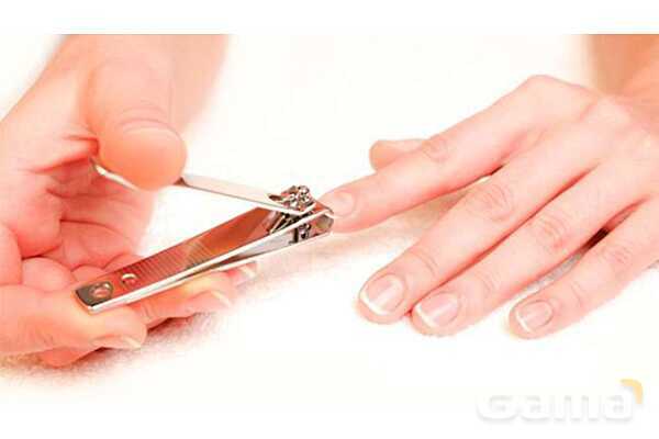 پاورپوینت درس 11 علوم چهارم: بی مهره ها- پیش نمایش