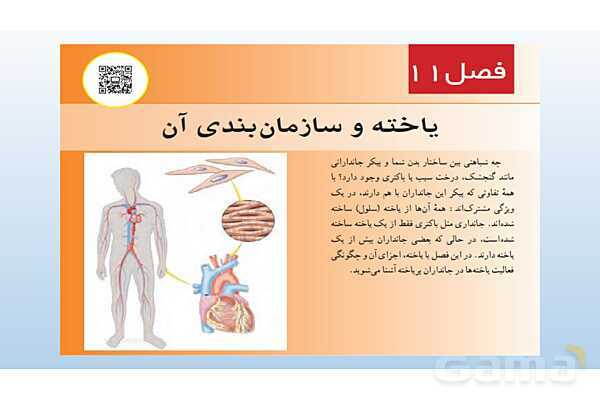 پاورپوینت فصل 11 علوم تجربی هفتم - یاخته و سازمان بندی آن- پیش نمایش