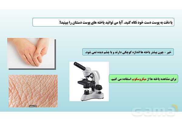 پاورپوینت فصل 11 علوم تجربی هفتم - یاخته و سازمان بندی آن- پیش نمایش