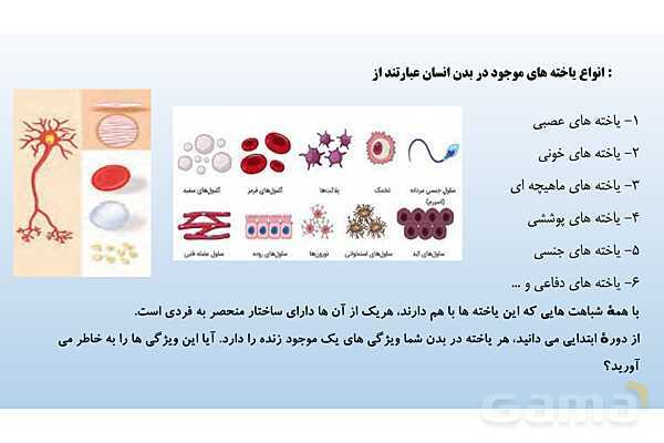 پاورپوینت فصل 11 علوم تجربی هفتم - یاخته و سازمان بندی آن- پیش نمایش