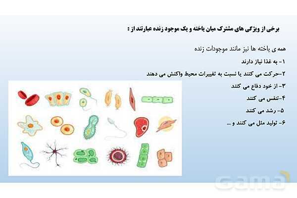 پاورپوینت فصل 11 علوم تجربی هفتم - یاخته و سازمان بندی آن- پیش نمایش
