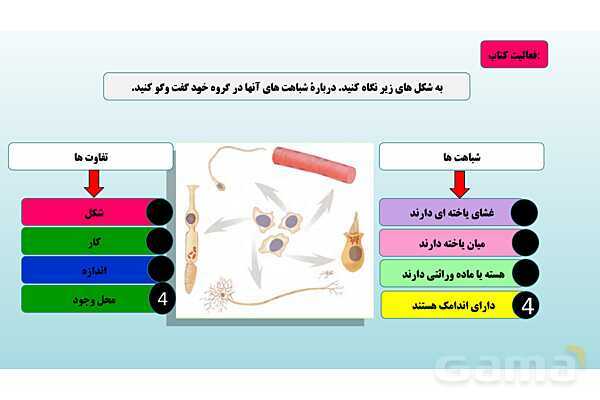 پاورپوینت فصل 11 علوم تجربی هفتم - یاخته و سازمان بندی آن- پیش نمایش