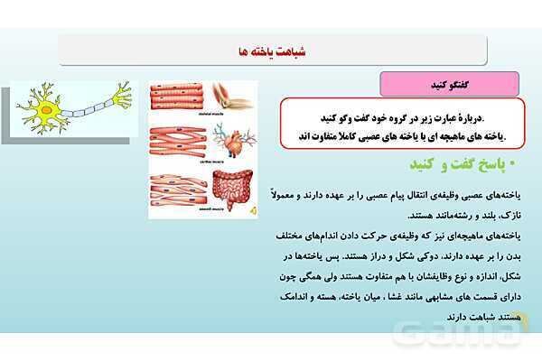 پاورپوینت فصل 11 علوم تجربی هفتم - یاخته و سازمان بندی آن- پیش نمایش