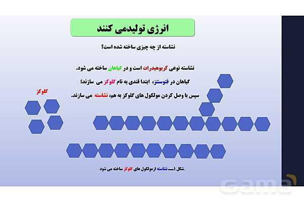 پاورپوینت فصل 12 علوم تجربی هفتم - سفره سلامت- پیش نمایش