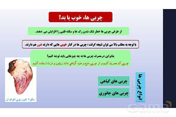 پاورپوینت فصل 12 علوم تجربی هفتم - سفره سلامت- پیش نمایش