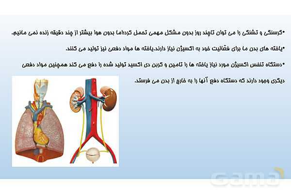 پاورپوینت فصل 15 علوم تجربی هفتم - تبادل با محیط- پیش نمایش