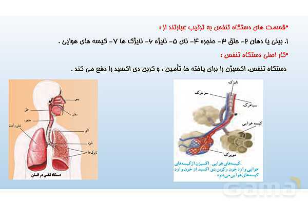 پاورپوینت فصل 15 علوم تجربی هفتم - تبادل با محیط- پیش نمایش