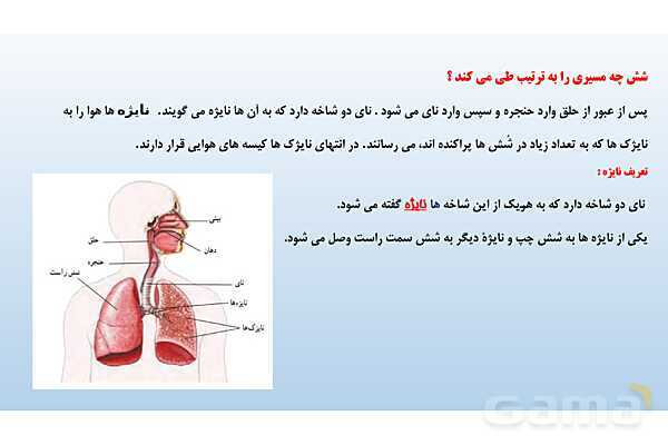 پاورپوینت فصل 15 علوم تجربی هفتم - تبادل با محیط- پیش نمایش