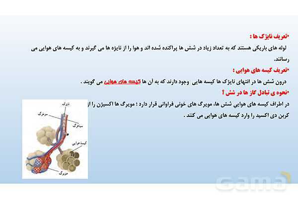 پاورپوینت فصل 15 علوم تجربی هفتم - تبادل با محیط- پیش نمایش