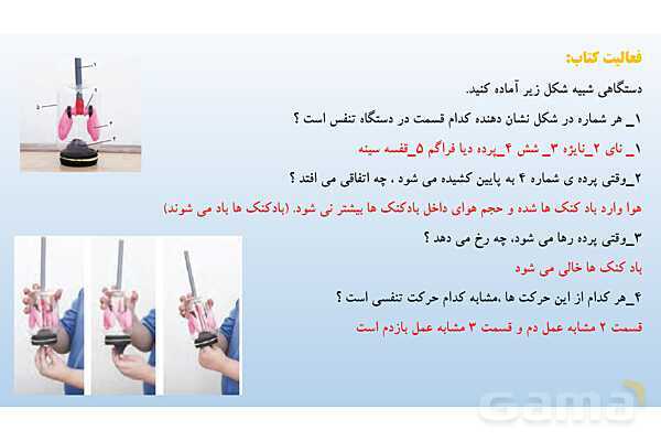 پاورپوینت فصل 15 علوم تجربی هفتم - تبادل با محیط- پیش نمایش