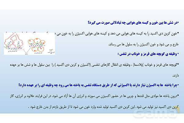 پاورپوینت فصل 15 علوم تجربی هفتم - تبادل با محیط- پیش نمایش