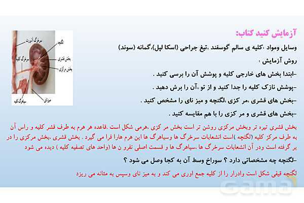 پاورپوینت فصل 15 علوم تجربی هفتم - تبادل با محیط- پیش نمایش