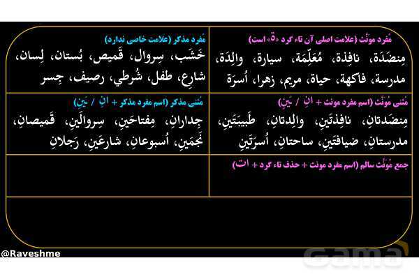 پاورپوینت عربی هفتم (5. جمع بندی مفرد، مثنی و جمع)- پیش نمایش