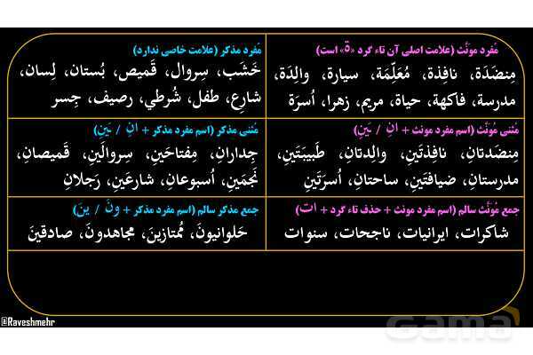 پاورپوینت عربی هفتم (5. جمع بندی مفرد، مثنی و جمع)- پیش نمایش