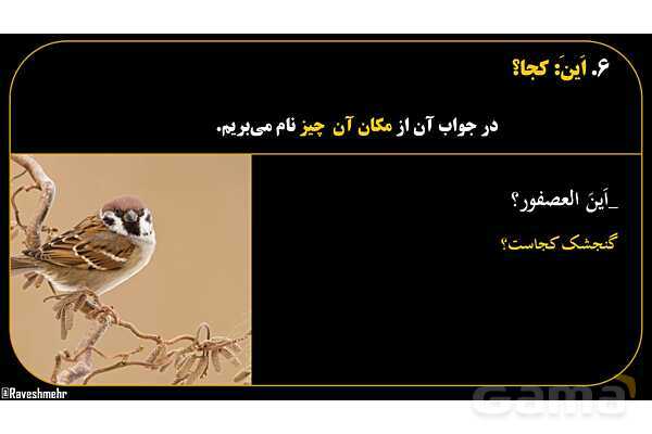 پاورپوینت عربی هفتم (16. کلمه پرسشی «اَین»)- پیش نمایش