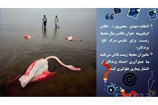 پاورپوینت هنرهای تجسمی: عکاسی روایی- پیش نمایش