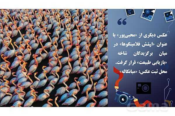 پاورپوینت هنرهای تجسمی: عکاسی روایی- پیش نمایش