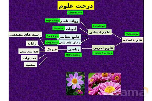 پاورپوینت آموزش فصل اول فیزیک پایه دهم تجربی- پیش نمایش