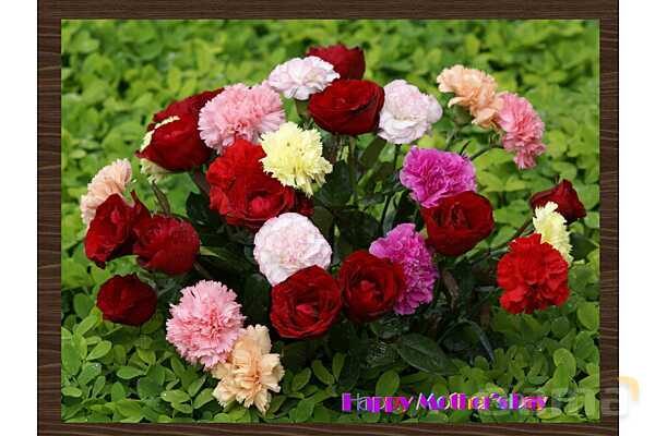 پاورپوینت آموزش فصل سوم کتاب فیزیک دهم تجربی- پیش نمایش