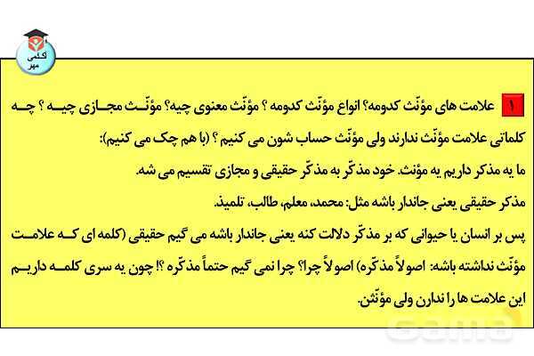 پاورپوینت جنس در زبان عربی تخصصی انسانی - پیش نمایش