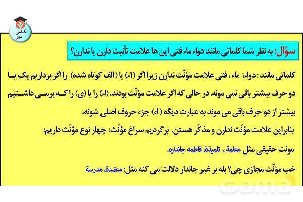 پاورپوینت جنس در زبان عربی تخصصی انسانی - پیش نمایش