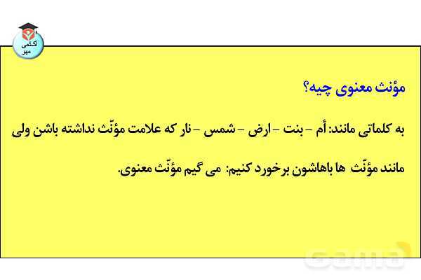 پاورپوینت جنس در زبان عربی تخصصی انسانی - پیش نمایش