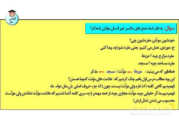 پاورپوینت جنس در زبان عربی تخصصی انسانی - پیش نمایش