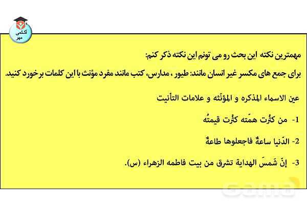 پاورپوینت جنس در زبان عربی تخصصی انسانی - پیش نمایش