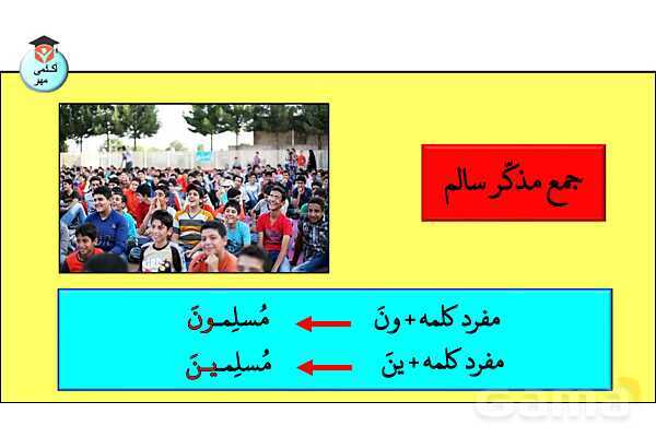 پاورپوینت جنس در زبان عربی تخصصی انسانی - پیش نمایش