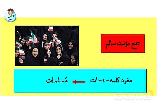 پاورپوینت جنس در زبان عربی تخصصی انسانی - پیش نمایش