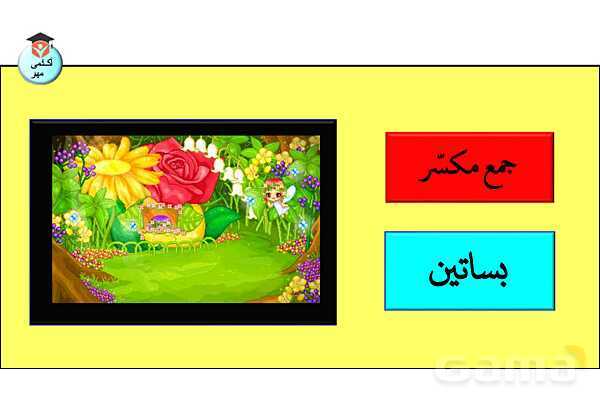 پاورپوینت جنس در زبان عربی تخصصی انسانی - پیش نمایش