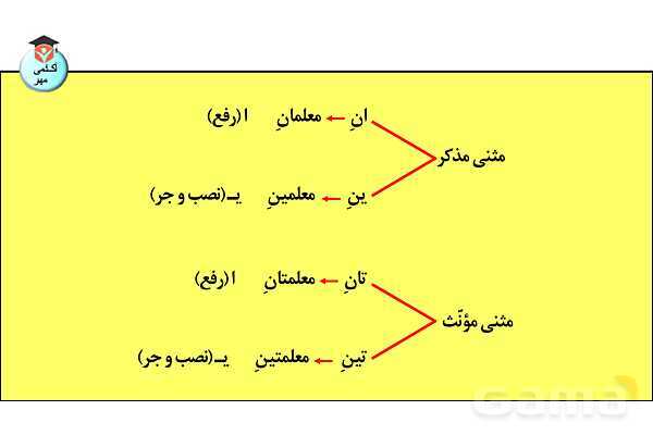 پاورپوینت جنس در زبان عربی تخصصی انسانی - پیش نمایش