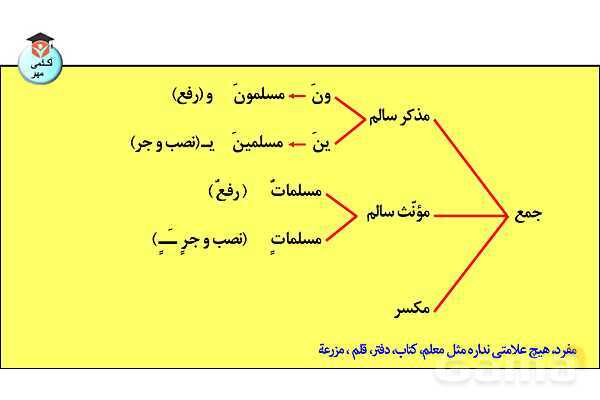 پاورپوینت جنس در زبان عربی تخصصی انسانی - پیش نمایش