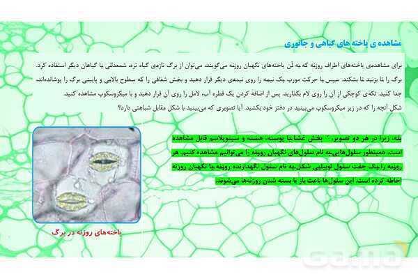 پاورپوینت تدریس علوم تجربی ششم دبستان | درس 10 : خیلی کوچک، خیلی بزرگ- پیش نمایش