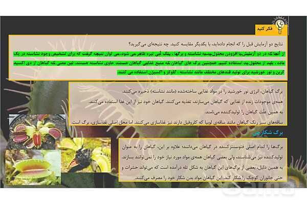 پاورپوینت تدریس علوم تجربی ششم دبستان | درس 11 : شگفتی های برگ- پیش نمایش