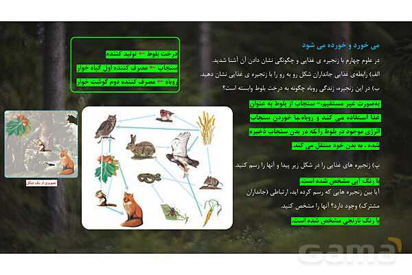 پاورپوینت تدریس علوم تجربی ششم دبستان | درس 12 : جنگل برای کیست ؟- پیش نمایش