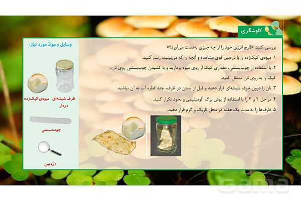 پاورپوینت تدریس علوم تجربی ششم دبستان | درس 12 : جنگل برای کیست ؟- پیش نمایش