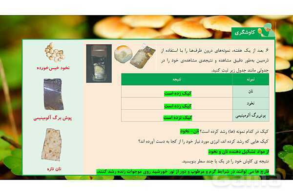 پاورپوینت تدریس علوم تجربی ششم دبستان | درس 12 : جنگل برای کیست ؟- پیش نمایش