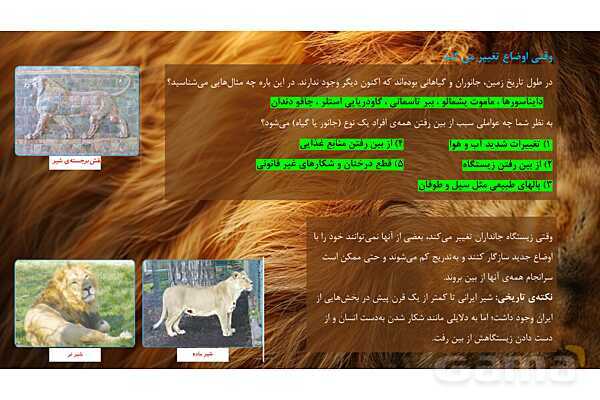 پاورپوینت تدریس علوم تجربی ششم دبستان | درس 12 : جنگل برای کیست ؟- پیش نمایش