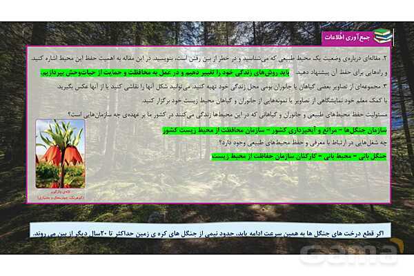 پاورپوینت تدریس علوم تجربی ششم دبستان | درس 12 : جنگل برای کیست ؟- پیش نمایش