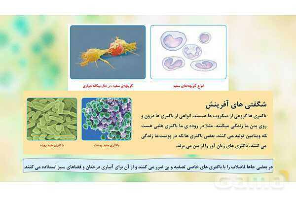 پاورپوینت تدریس علوم تجربی ششم دبستان | درس 13 : سالم بمانیم- پیش نمایش
