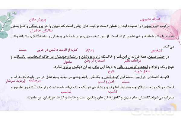 پاورپوینت تدریس درس 8: هم زیستی با مام میهن | فارسی نهم- پیش نمایش